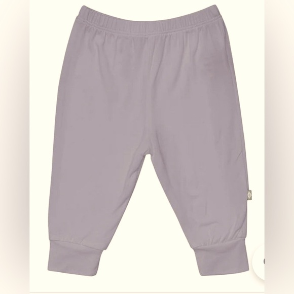 Kyte BABY Other - Kyte Baby Pants in Haze, size 12-18 mo